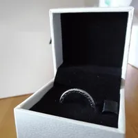 NEW Luxury Fashion Full CZ Diamond RING Set Original Box for Pandora 925 Sterling Silver Women Wedding Rings Fashion accessories188W