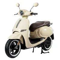 60V lithium battery Electric motorcycle Eec Adult Electric Scooter 4000watt