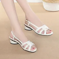 Dress Shoes Women Summer 2023 Roman Sandals Real Leather Hollow Fish Mouth Mid Heel Fashion
