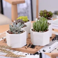 Planteros Pots Ceramic Bonsai Mani Mini Bentolas de Porcelana Blanca Proveedores para sembrar Sucentados Interior Home Nursery Deli Dhzn1
