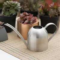 Sprayers Stainless Steel Watering Pot Gardening Potted Small Can Indoor Succulent Long Flower Kettle 500ml #CW 230330