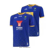 Wicklow GAA 2 Stripe Home Goalkeeper Jersey 202122 Size S-5XL Print Custom Name NumberTop Quality Free Delivery