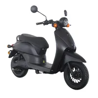 EWG-Zertifikat Neuer leistungsstarker motorisierter 2000-W-Motorrad-E-Scooter für Erwachsene im Angebot