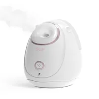 Nano Mist Facial Steamer, Portable Mini Face Steamer