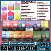 Bang Elf BC 5000 E cigarette jetable ELF 5000 Puffs Batterie rechargeable Cartouche préremplie de 10 ml Pod Vape Pen Box