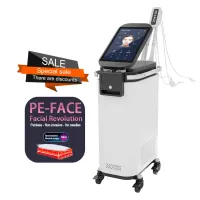2023 Hot Sale Facial EMS RF spiervertaling Gezicht Heffen Huidverstakking Verhoog gezichtsspier PE-Face Machine