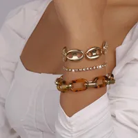 Link Bracelets Chain Exaggerated Acrylic Resin CCB Pig Nose Braceles Set On Hand Women Vintage Bangles Bijoux Femme Tendance 2023 Steampunk