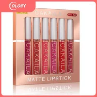Brillant à lèvres maquillage cosmétiques liquide rouge à lèvres ensemble pour filles glaçure professionnel Kit complet mat Sexy