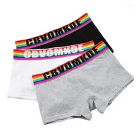 Höschen Frauen Regenbogen Baumwolle Boxershorts für Frauen Trans Lesben Tomboy LGBT Schlüpfer Unterwäsche Frauen Dessous