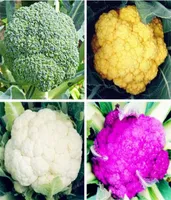 50 Stück/Beutel Blumenkohl-Brokkoli-Samen, grüner Blumenkohl, Bio-Gemüsepflanze für den Hausgarten, einfach zu pflanzen7083069