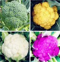 50 Stück/Beutel Blumenkohl-Brokkoli-Samen, grüner Blumenkohl, Bio-Gemüsepflanze für den Hausgarten, einfach zu pflanzen2878412