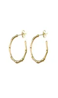 Stud Fashion Stainless Steel Bamboo Earrings Waterproof Jewelry C Shape Gold Metal Women Bijoux Femme Party Gift4899863