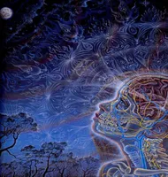 Moon Alex Gray Psychedelic Trippy Art Silk Print Poster 24x36inch60x90cm 0177904211