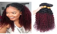 Kinky Curly Human Hair Bundles Ombre 1B99J Hair Extension Brazilian Virgin Two Tone 1B99J Dark Red Remy Hair Weaves 1026 Inch3710255