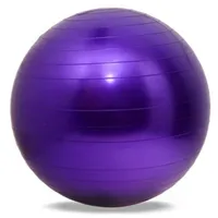5 Colors 65cm Health Yoga Fitness Ball Yoga Balls Pilates Sport Fitball Proof Balls Anti-slip for Fitness Training1223W