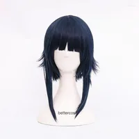 Anime Costumes Hyuga Hinata Cosplay Wigs Black Blue Mix Synthetic Hair Fluffy Party Carnival Role Play Wig Two Styles Cap
