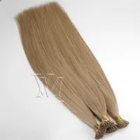 0 5g strand 50g Double Drawn Pre-bonded Virgin Remy Human Straight Keratin Hair Extensions Whole Brazilian European I-tip Hum240k