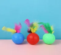 Cat Toys Funny Plastic Golf Ball Toy with Feather Interactive Kitten Cat Teaser Toy Pet Supplies9351714
