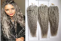 Brazilian Virgin Remy Hair Curly Micro Loop Human Hair Extensions Silver Grey 300g Kinky Curly Micro Link Hair Extensions Human 303423353