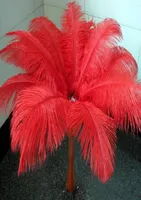 Whole a lot beautiful ostrich feathers 2530cm for Wedding centerpiece Table centerpieces Party Decoraction supply EEA1949114356