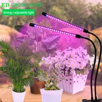 Grow Lights Lamp For Plants LED Light Full Spectrum Phyto USB Port With Timer Clip Seedlings Flower Indoor Fitolamp Box