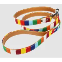 Dog Collars 12pcs lot Personalized Color Small Medium Big Leash Stripe Canvas Plus Leather