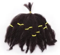 2021 Fashion Mongolian Afro Kinky Curly Hair Bundles Bulks Extensiones de cabello sintético CAJO Rubio corto de 10 pulgadas para BL8280123