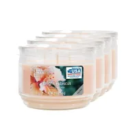 Hibiscus geurende 3-wick glazen pot kaars, 11 5 oz, 4-pack