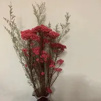 Flores decorativas 50g Millet Fruit Fruit Dried Flower Christmas Decorações para suprimentos de casamento em casa Dia dos namorados artificial para sempre r