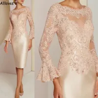 Elegant Appliuqed Lace Mother Of The Bride Dresses Sheer Neck Long Sleeves Knee Length Short Women Evening Party Gowns Sheath Wedding Guest Dress Plus Size CL1759