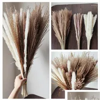 Decorative Flowers Wreaths 60Cm Reed Pampas Wheat Ears Tail Grass Natural Dried Bouquet Wedding Decoration Hay For Party Bohemian Dhu72