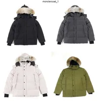 Down Jacket Parkas Mens Outerwear High-end Hooded Wolf Fur Windproof Waterproof Padded Thicken Coat Removable Cap Coats Outdoor Jackets Warm6odn6odn