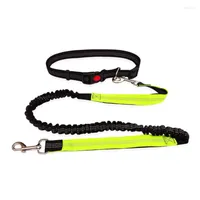 Dog Collars Reflective Hand Free Leash Running Nylon Jogging Pet Lead Belt Harness Collar And Adjustable Waist Rope