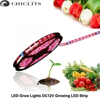 Grow Lights Led Strip Tape Waterproof IP20 IP65 DC12V Greenhouse Plant 5m Red Blue 3:1