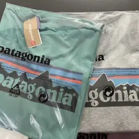 patagonias pulse printing multi-color casual cotton loose men and women lovers short-sleeved tee