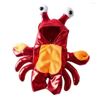 Dog Apparel Functional Pet Clothes Eye-catching Cloth Halloween Transformation Outfit Lovely For Outdoor