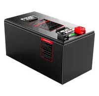 LifePO4 Battery Buming BMS Display 12V200AH para gar￧onete de carrinho de golfe inversor de ve￭culo el￩trico Povoltaico RV CAMPERVAN2301532