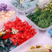 Fiori decorativi Materiale fiore secco fai -da -te regalo per San Valentino per la festa della decorazione da sposa fatta per la madre