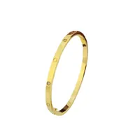 4 mm sottile 6 ﾰ braccialetto in acciaio in acciaio in acciaio da uomo adora braccialetti braccialetti argogiti per bracciale per chiodo per chiodo in oro rosa.