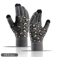 Ski Gloves Women Winter Warm Knit Gloves outdoor Korean version leopard jacquard Warmers touch screen knitted gloves L2210175983025