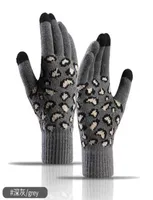 Ski Gloves Women Winter Warm Knit Gloves outdoor Korean version leopard jacquard Warmers touch screen knitted gloves L2210179035337