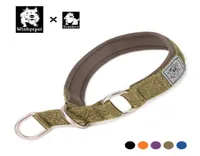 Truelove Nylon Dog Training Collar Pet Slip Choke Collar för stora små hundar som jagar unika coola hundkrage Collier Pour Chien x8982222