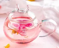 Mug For Tea Large Pots Glass Cup Cute Transparent Vase Kawaii Cat With Lid Tumbler Wine Glasses1205881