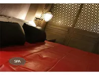 Massage spa sexvattentät lakan pvc madrass täcker inga allergier kan också förhindra gamla människor och barn som väter sängen 219497396