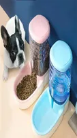 Pet Automatic Feeder Dog Drinking Bowl For Cat accessories Water Feeding watering supplies Large Capacity Dispenser 2Piecesset 202022181