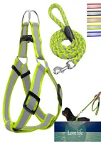 Stepin Dog Harness Walking Leash Set No Pullig Reflective Nylon Dogs Vest 및 Leads 5 색 중간 정도의 중간 개에 대해 S M L 리드 7605325