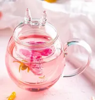 Mok voor thee grote potten glazen beker schattige transparante vaas kawaii kat met deksel tumbler wijnglazen6800192
