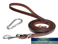 Didog Genuine Leather Dog Leash Tie Out Dog Leashes For Small Medium Large Dogs Walking Traning6765496