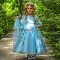 Girl Dresses Long Flower Girls 2023 Point Tulle Puff Sleeves A-Line Kids Wedding Party Dress Sky Blue Bead Pearls Princess Gowns