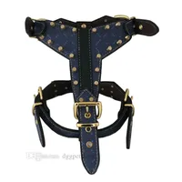 Designer Dog Collars Leather Sharp Spiked Studded Medium stora sele Hållbart starkt husdjurssele med klassiskt brevmönster för Pit Bull Mastiff Boxer Blue B149